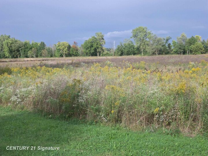 Property Photo:  V/L W Coldwater Road  MI 48433 