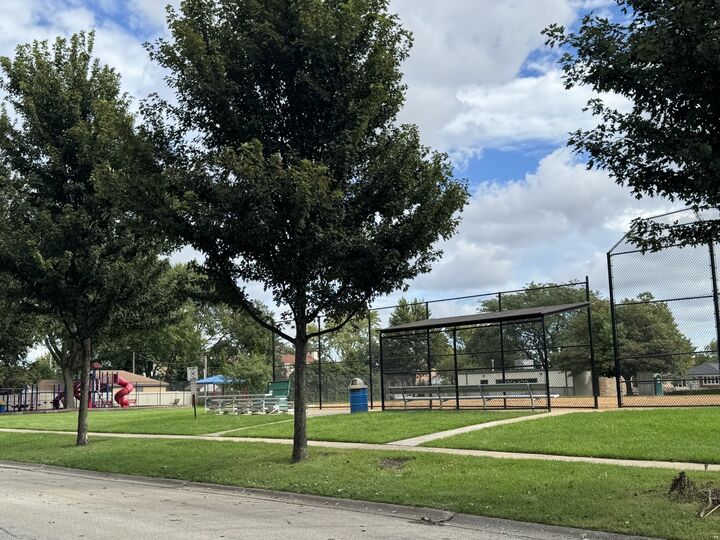 Property Photo: 8048 N Ozanam Avenue IL 60714