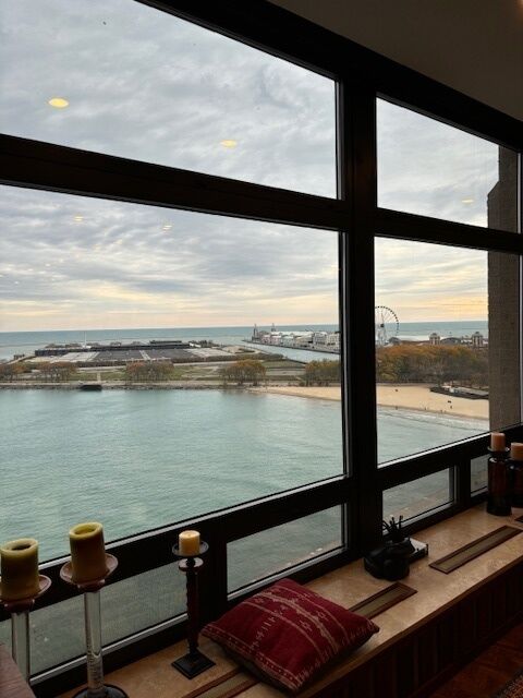 Property Photo: 680 N Lake Shore Drive 1103 IL 60611