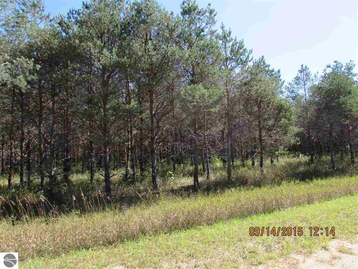 Property Photo: 411 Kleehammer Club Drive MI 49646