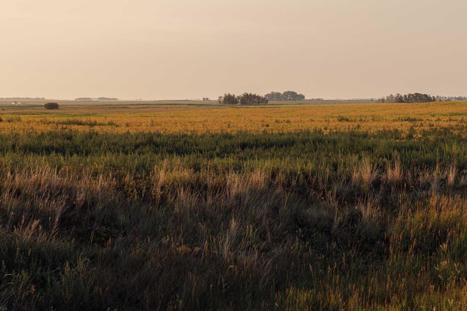 Property Photo:  Parcel 6 Range Road 271 Just South Of Highway 9.  AB T0M 1G0 