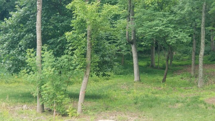 Property Photo:  1852 Aqua Vista Drive  IN 47025 