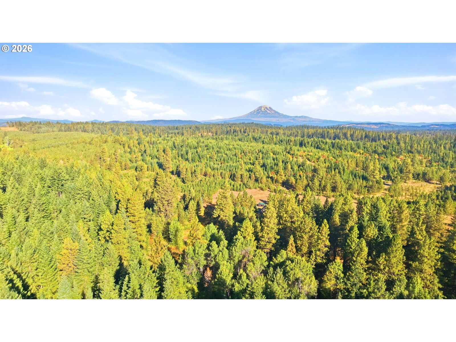 Property Photo:  7 Mill Rd  WA 98602 