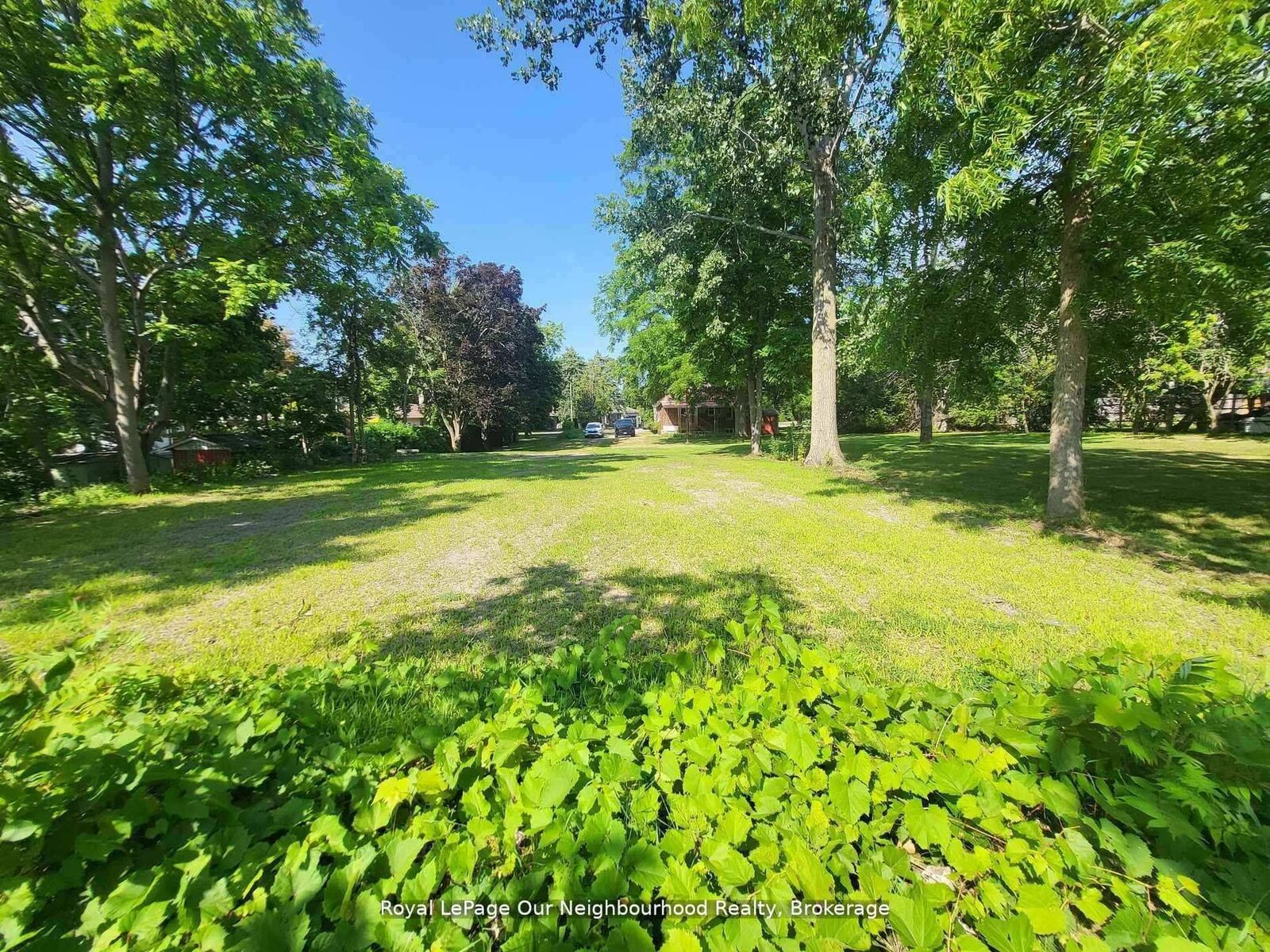Property Photo:  66 Redfern Crescent  ON L1C 2M6 