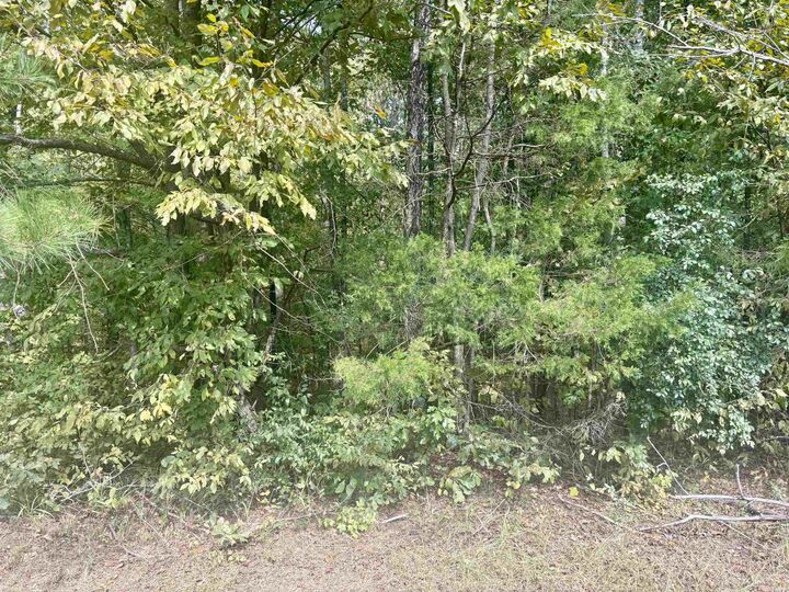 Property Photo: Tract 2 Steel Bridge Road AR 72019