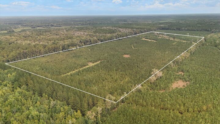Property Photo:  000 Augusta Hwy Highway  SC 29481 