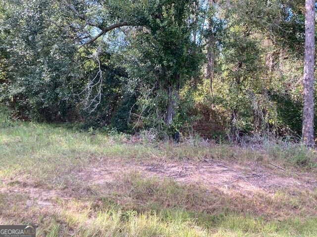 Property Photo:  6965 Jim Pruett Road  GA 31023 