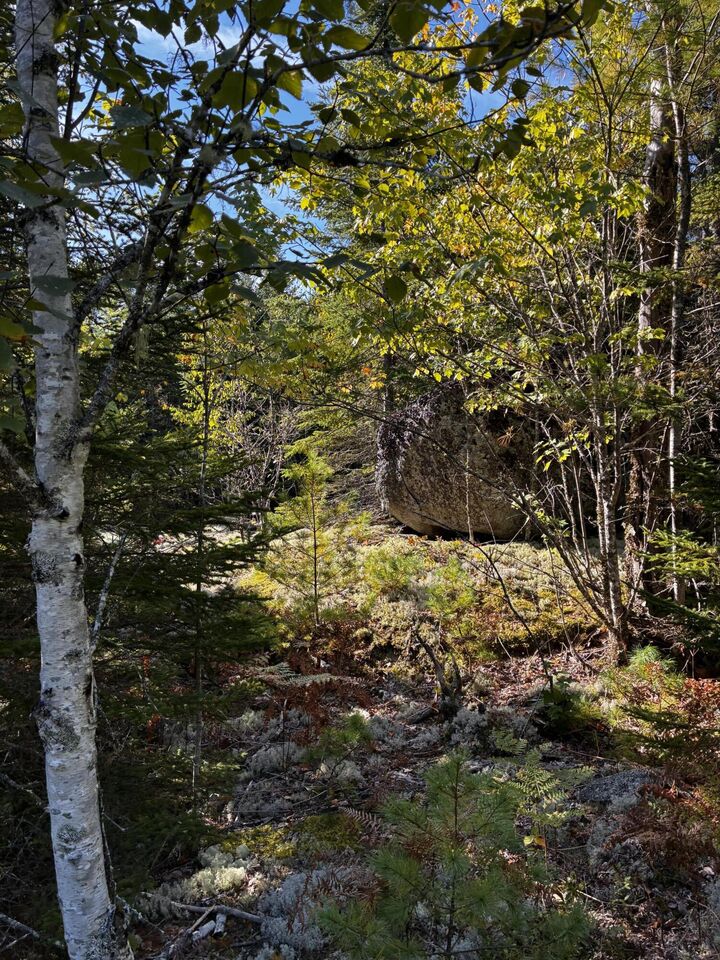 Property Photo: 15 Bailey Mountain Road ME 04634