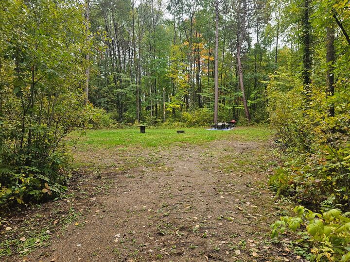 Property Photo:  20012 Nature Trail  MN 56455 