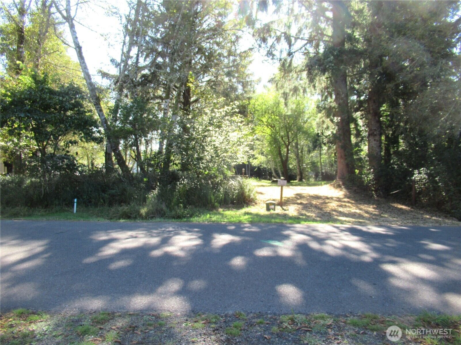 Property Photo:  861  Hassalo Avenue SE  WA 98569 