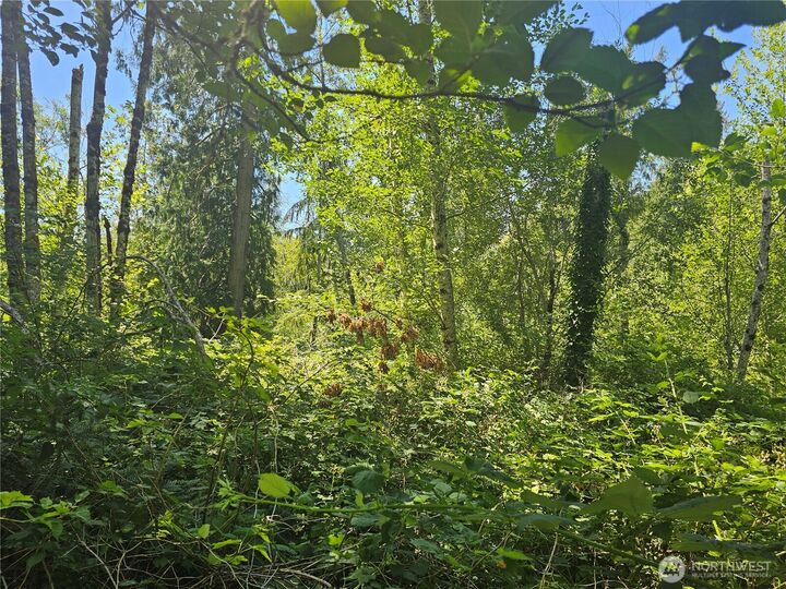 Property Photo:  0  Mile Hill Drive SE  WA 98366 