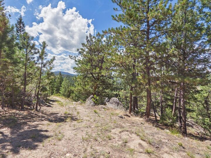 Property Photo:  N Turkey Creek Road  CO 80465 