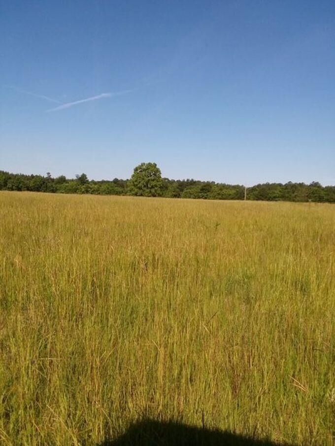 Property Photo:  160 County Road 4472  TX 77664 