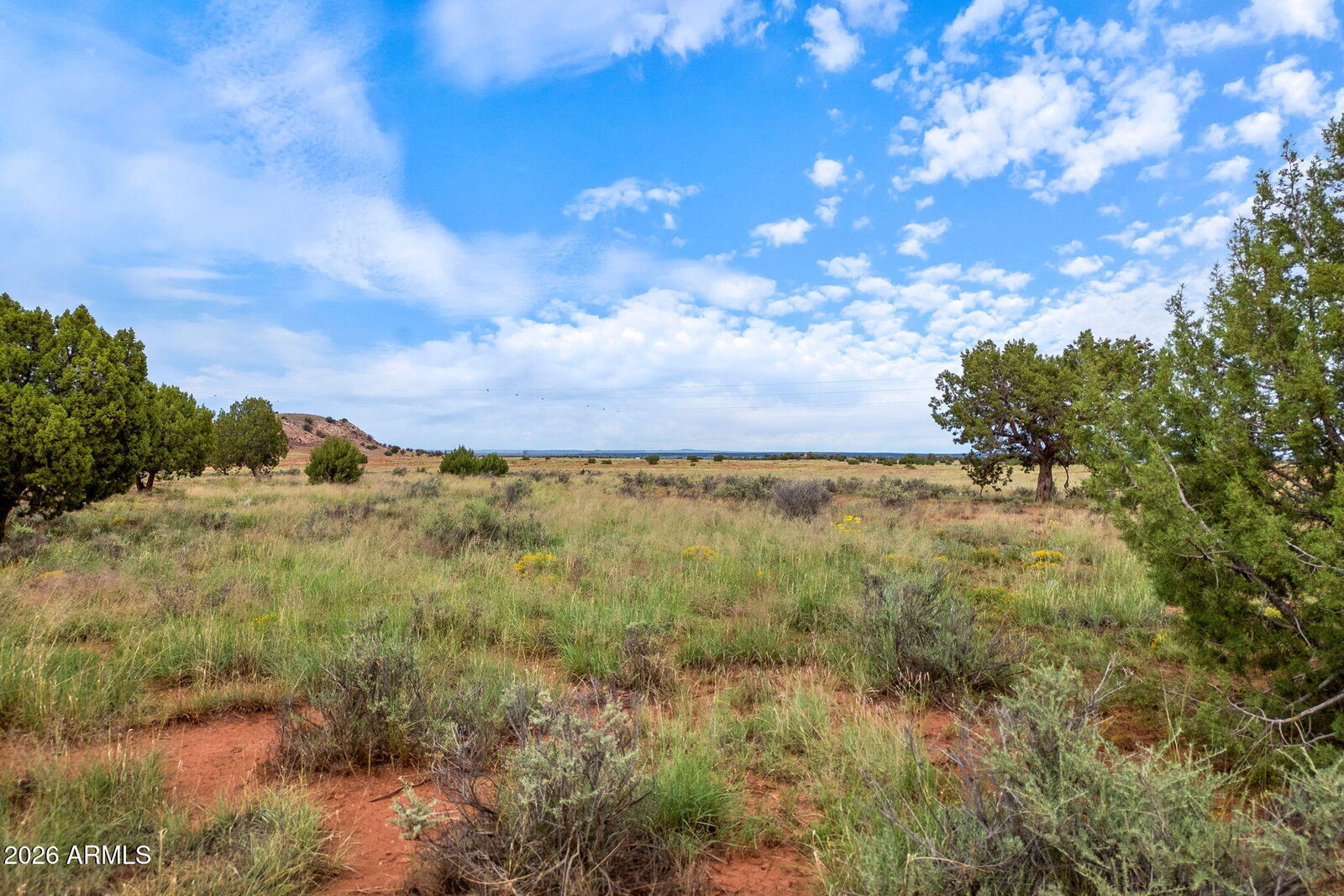 Property Photo:  316 County Road 9211 -- 443  AZ 85924 