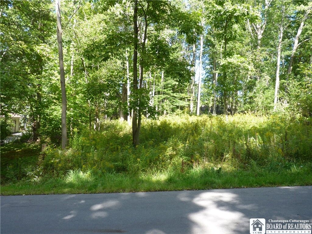 Property Photo: Scandia Drive N NY 14712