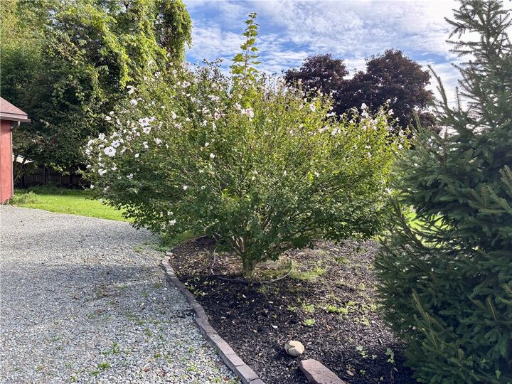 Property Photo:  122 Beartown Road  NY 14870 