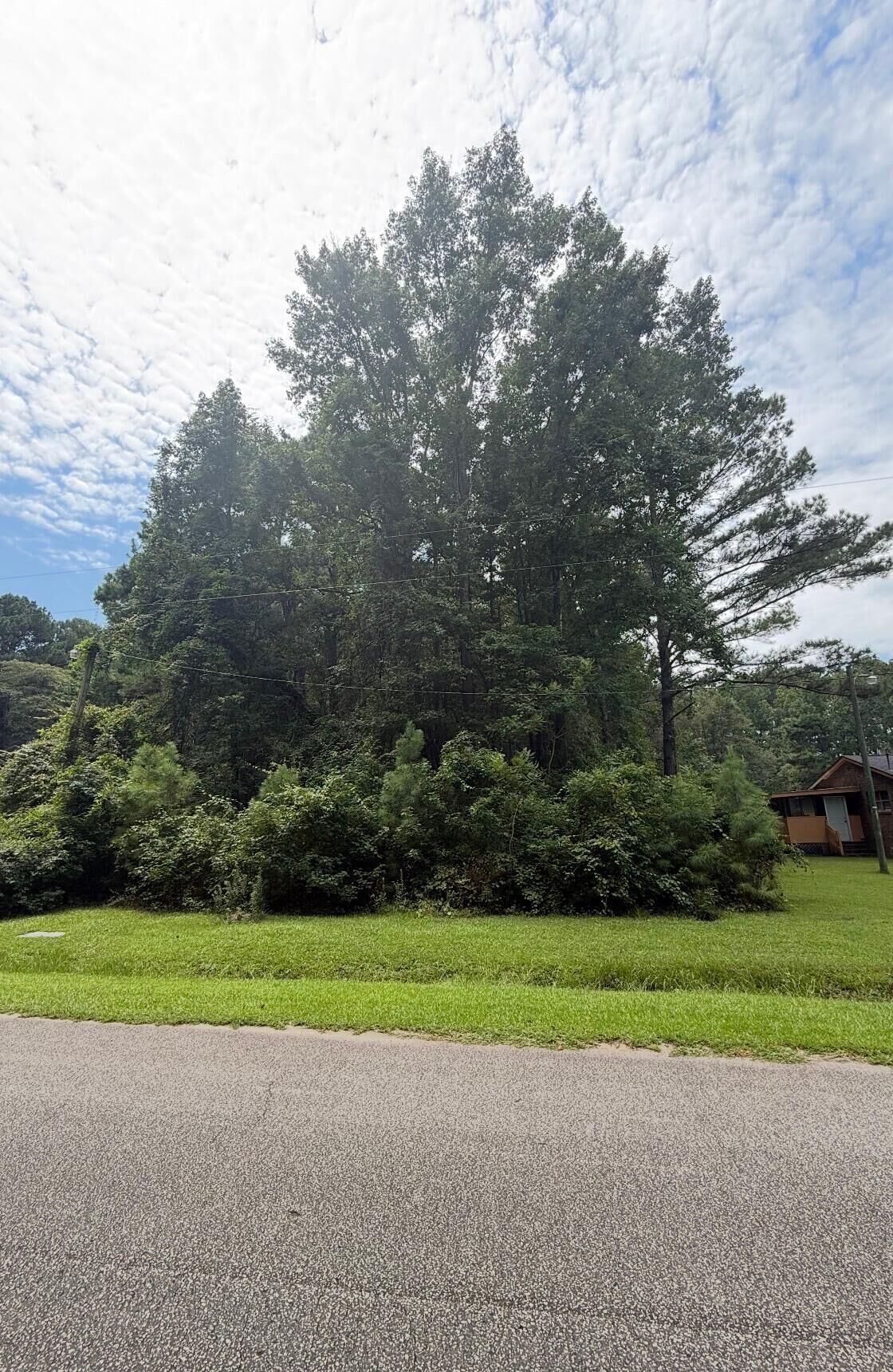 Property Photo:  1017 Rosa Green Road  SC 29429 