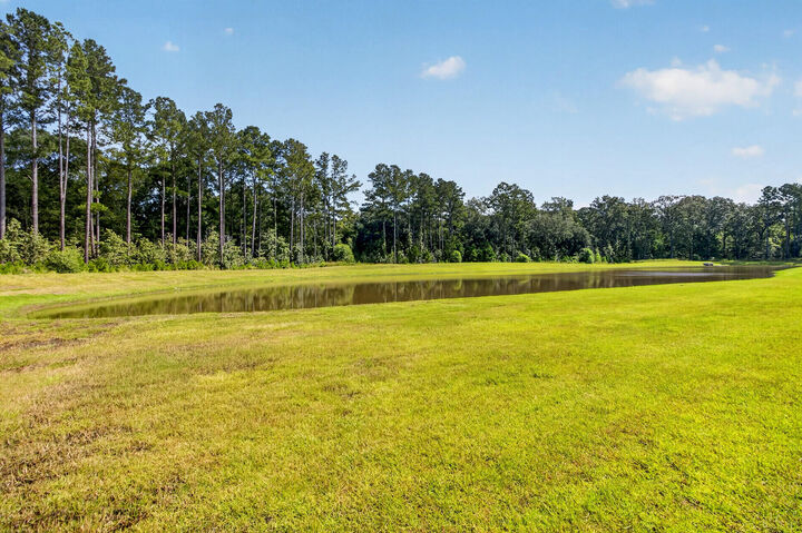 Property Photo: 995 Arrowwood Way SC 29485