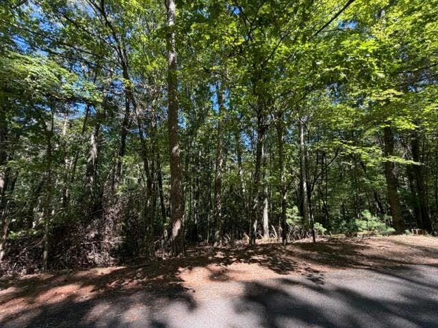 Property Photo:  305 Seneca Drive  GA 30540 