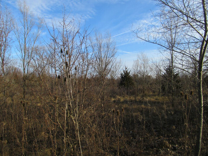Property Photo:  0-Lot 8 Grant Street  IN 46410 