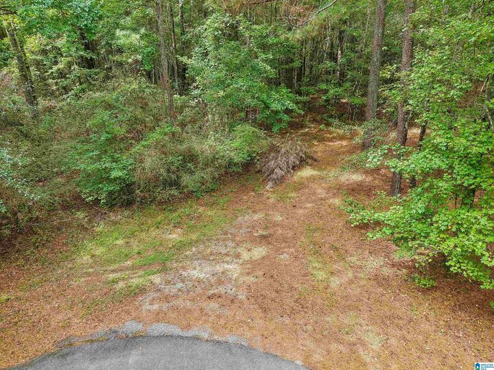 Property Photo: 0 Howard Hill Drive 1 AL 35178