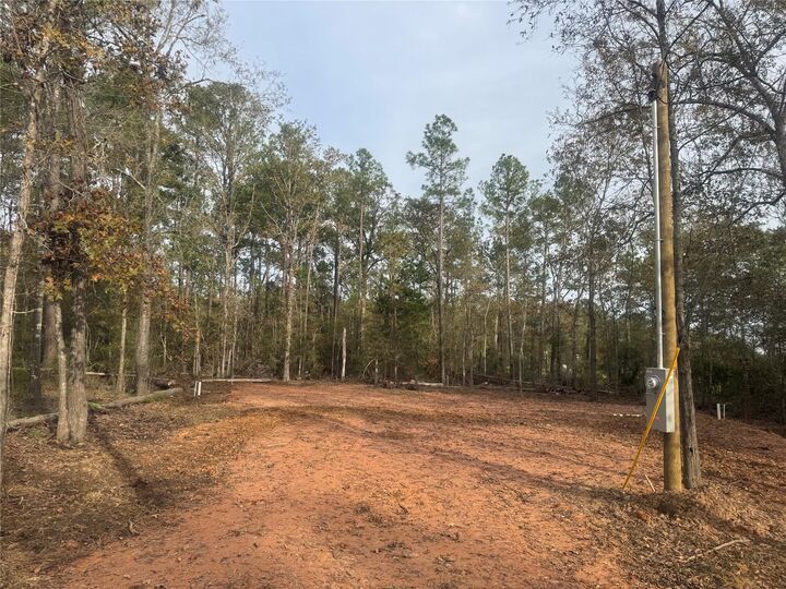 Property Photo:  197 Alta Vista Drive  TX 77351 