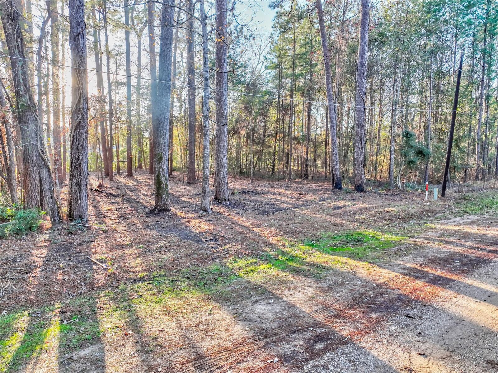 Property Photo: 171 Pine Shadow Street TX 77331