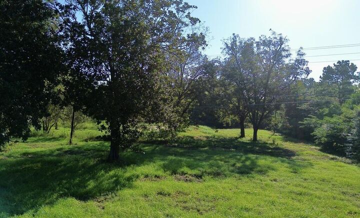 Property Photo:  4600 Hwy 96 N  TX 75951 