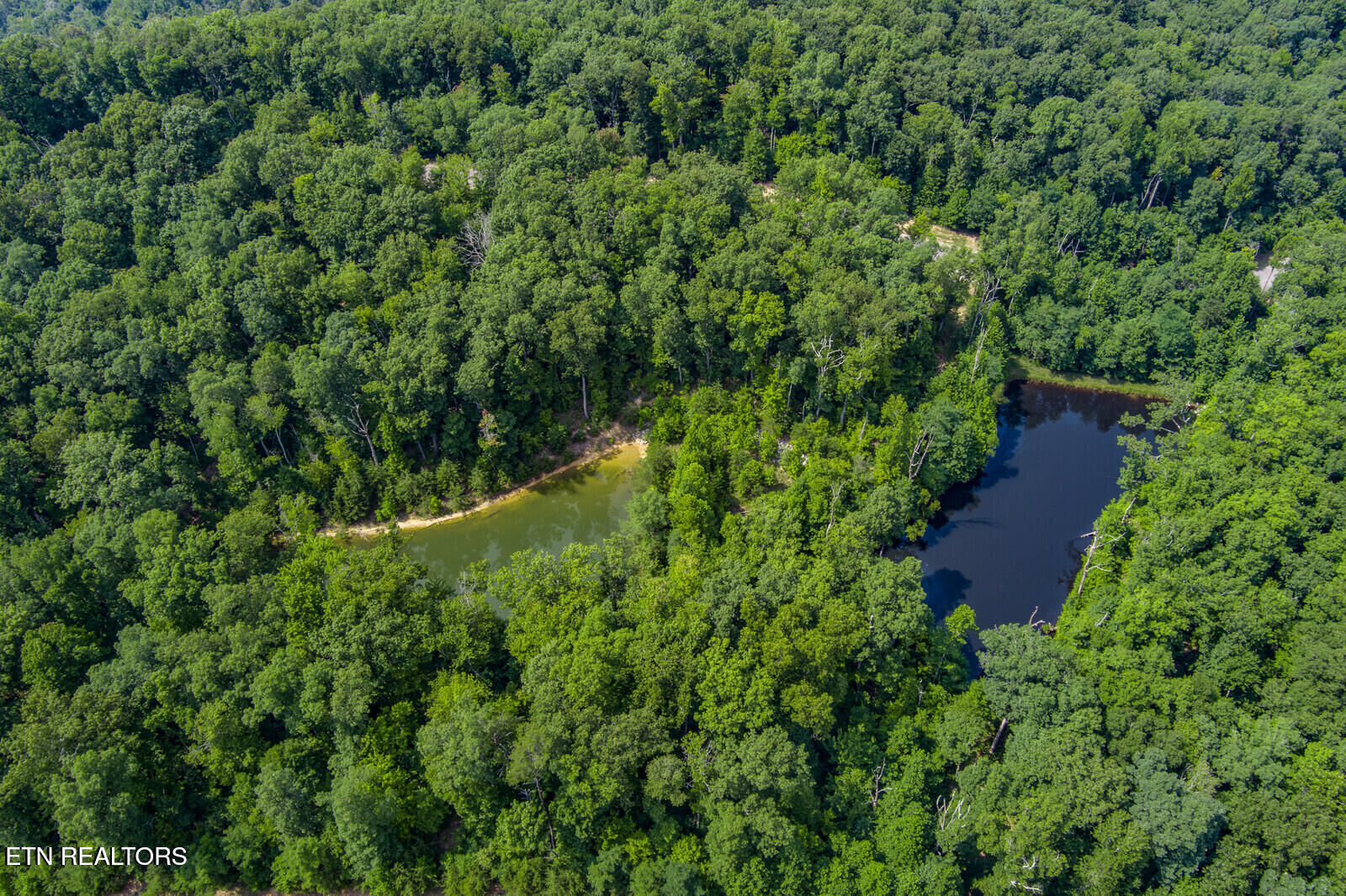 Property Photo:  119 Westridge Tr  TN 38574 