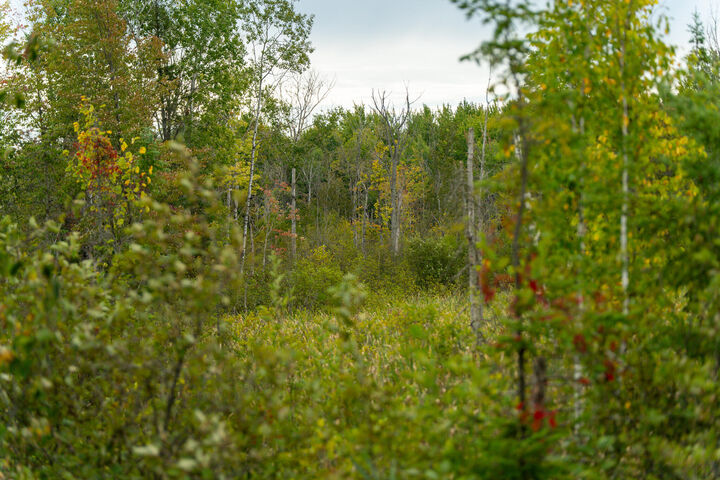 Property Photo: 6932 E Houghton Lake Road MI 49667