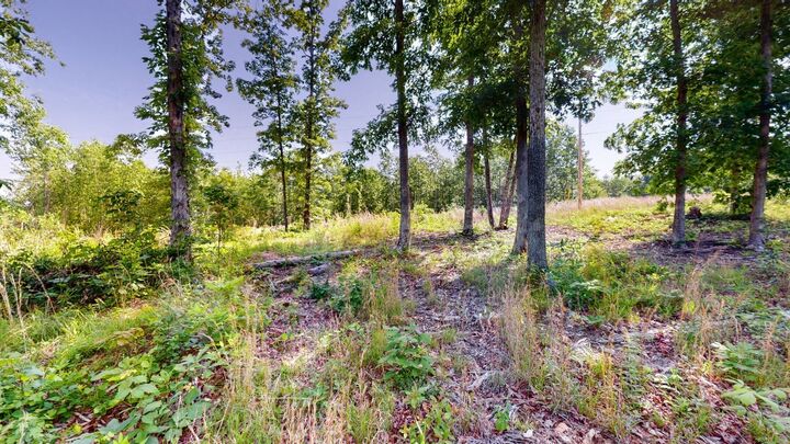 Property Photo: 820 Overlook Trl TN 37175