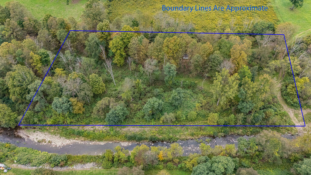 Property Photo: 054 Parcel Route 249 (Land) PA 16935