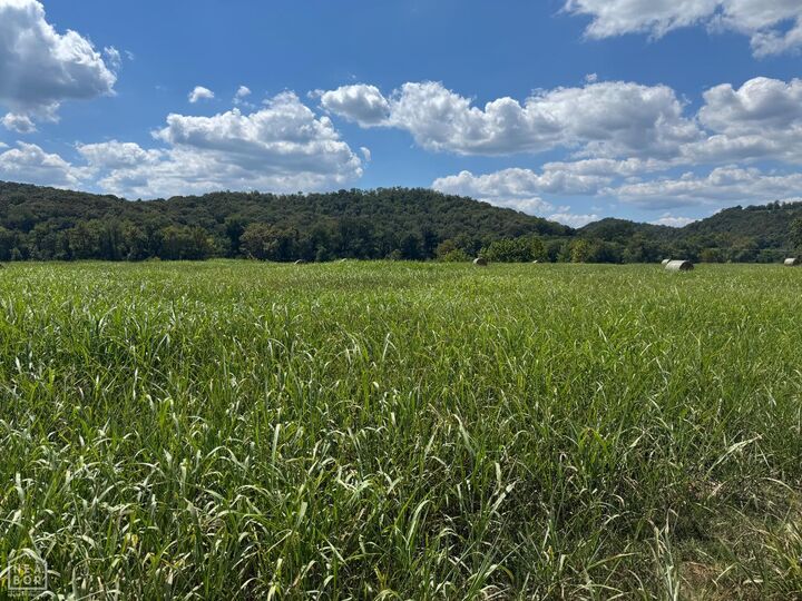 Property Photo:  39 White River Run  AR 72540 