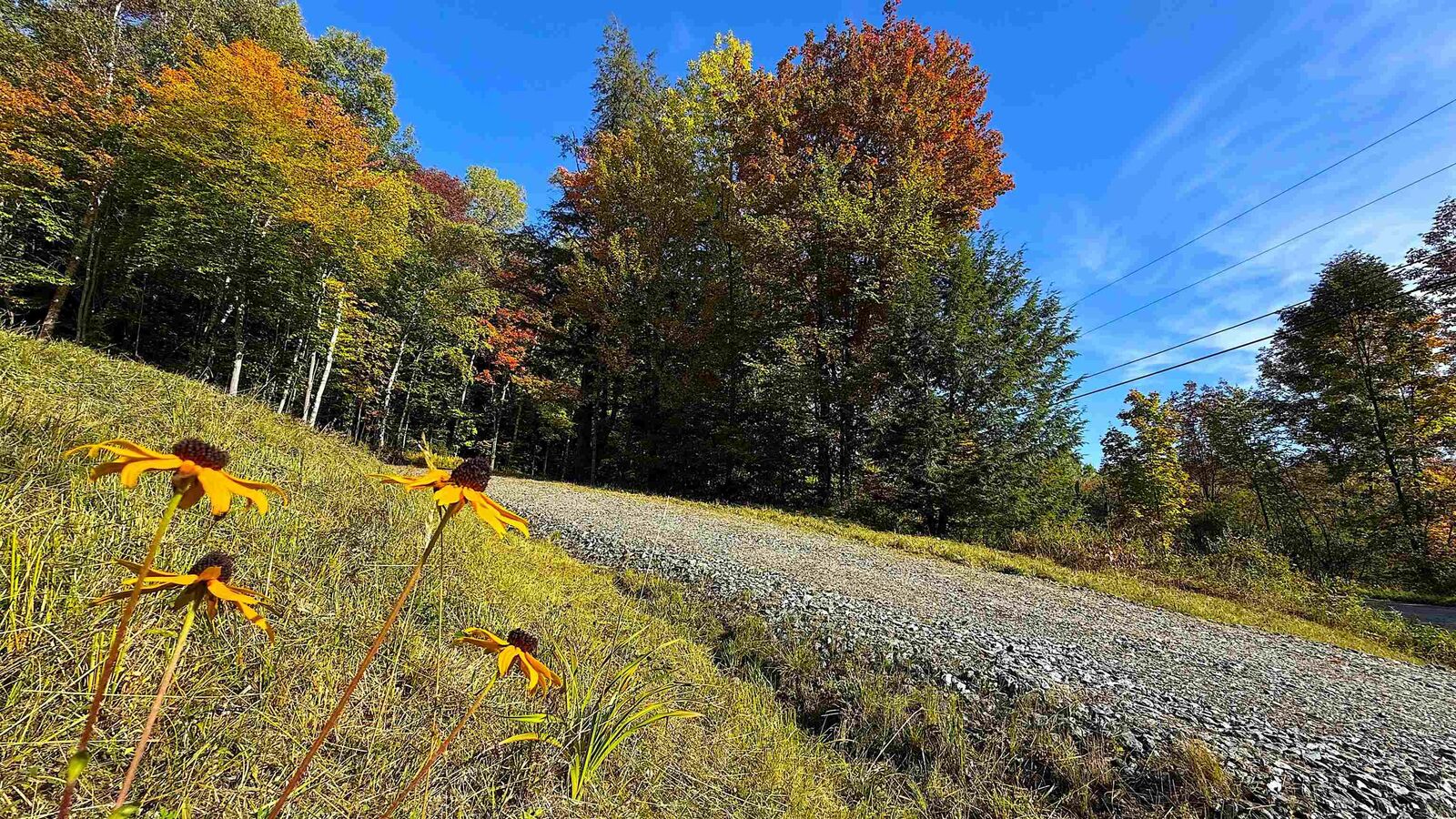 Property Photo: 626 Beach Road VT 05657