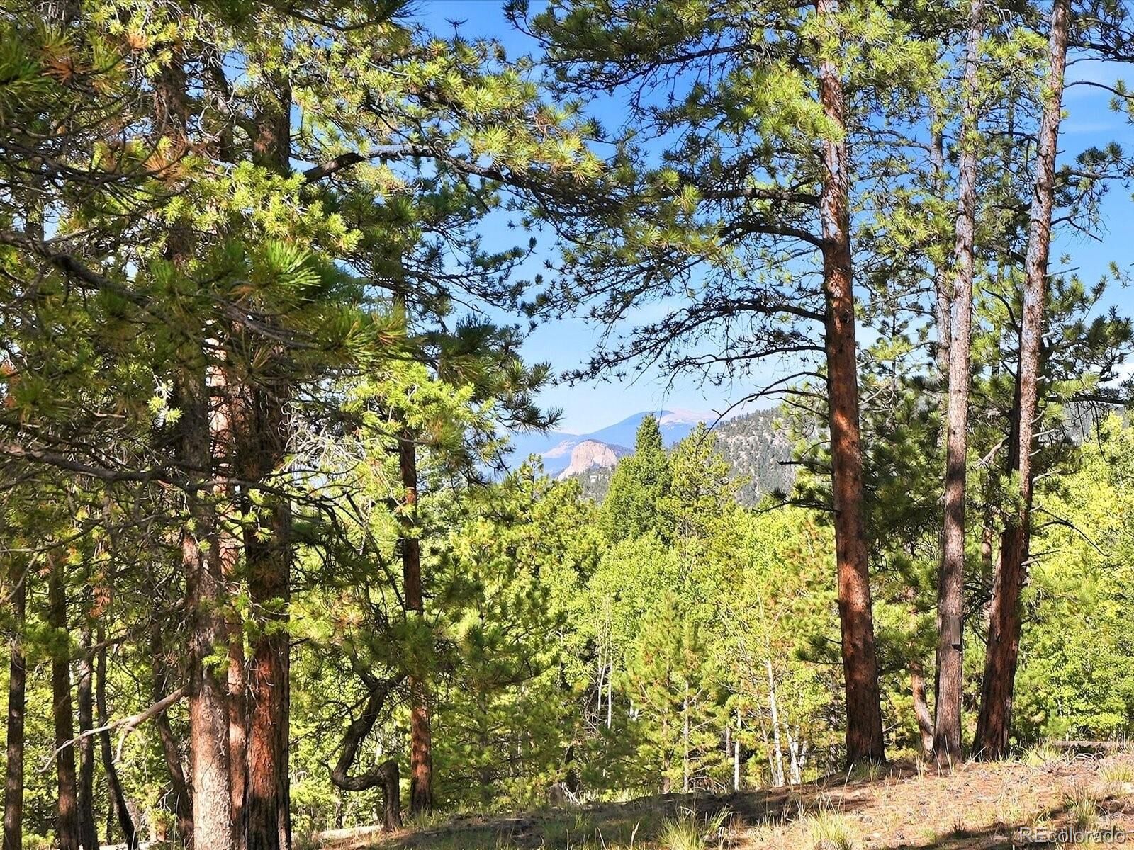 Property Photo: 000 Molly Drive CO 80433