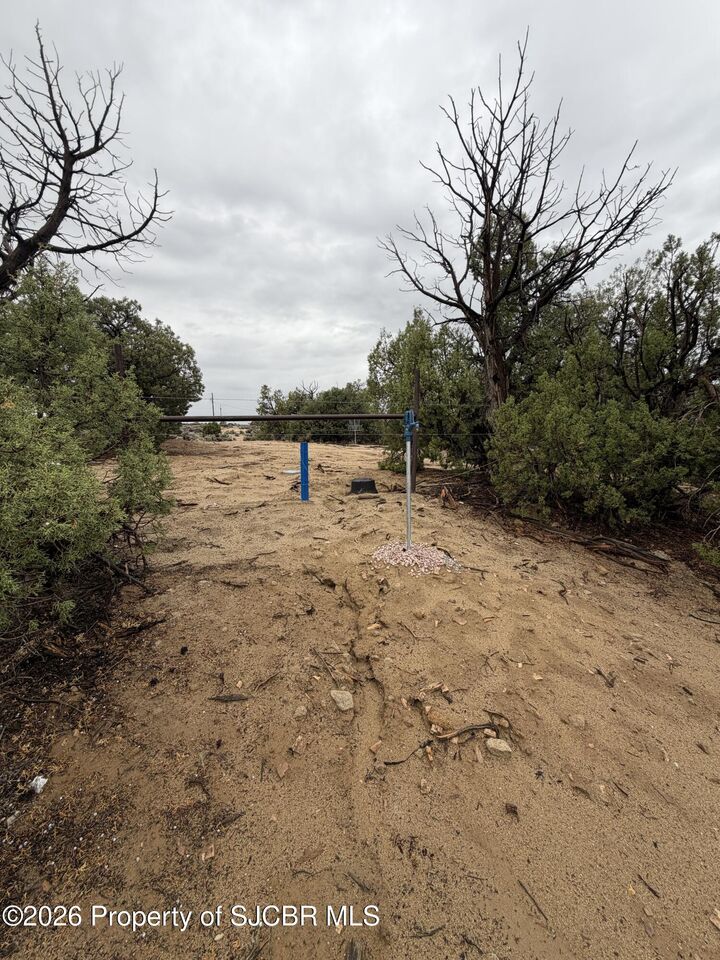 Property Photo: 32 Road 2581 NM 87410