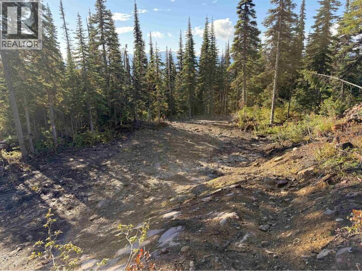 Property Photo:  192 Alpine Way  BC V0J 2N0 