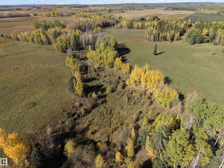 Property Photo:  On Rr90 & Twp Rd 503  AB T7A 2A3 