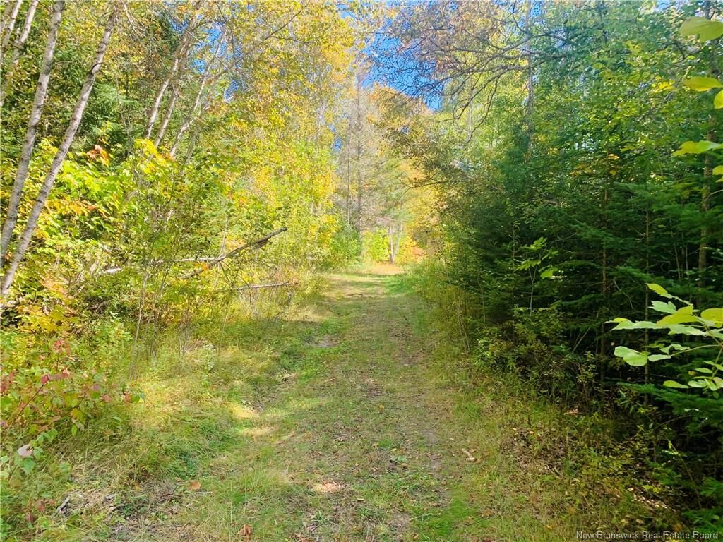 Property Photo:  180 Route 630  NB E5A 1C5 