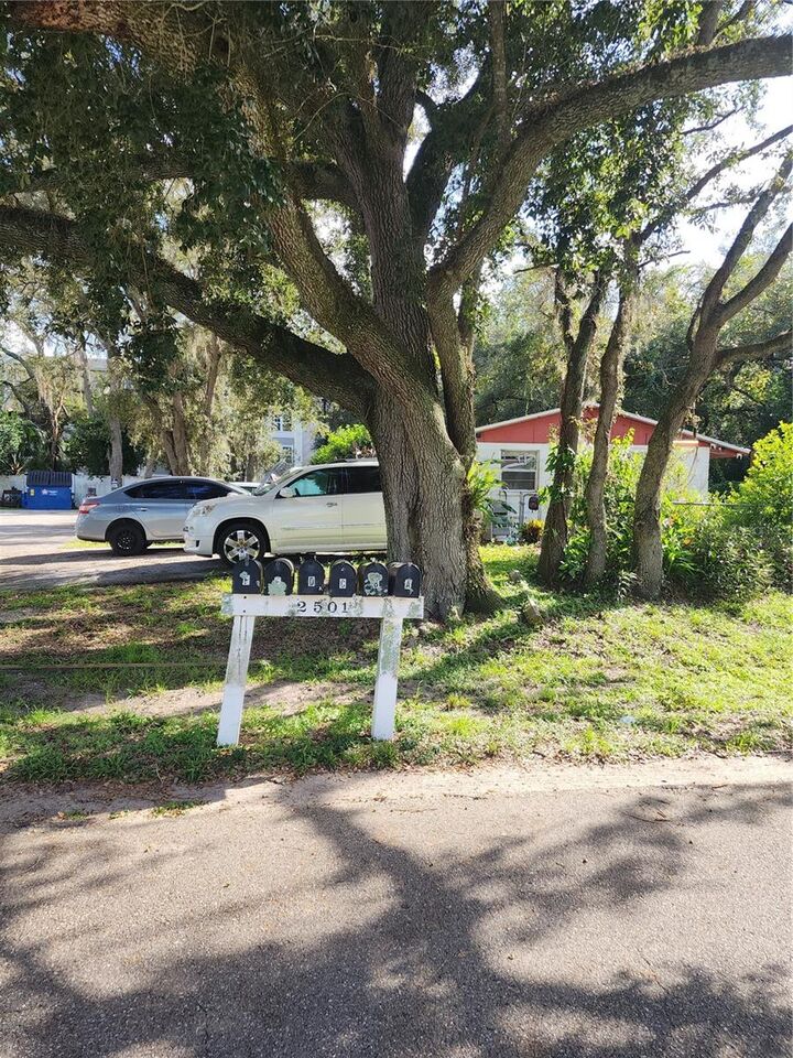 Property Photo:  2501 Irene Street  FL 33549 