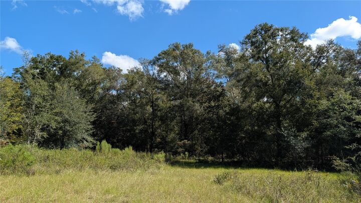 Property Photo: Lot 3 NE 48th Court FL 32643