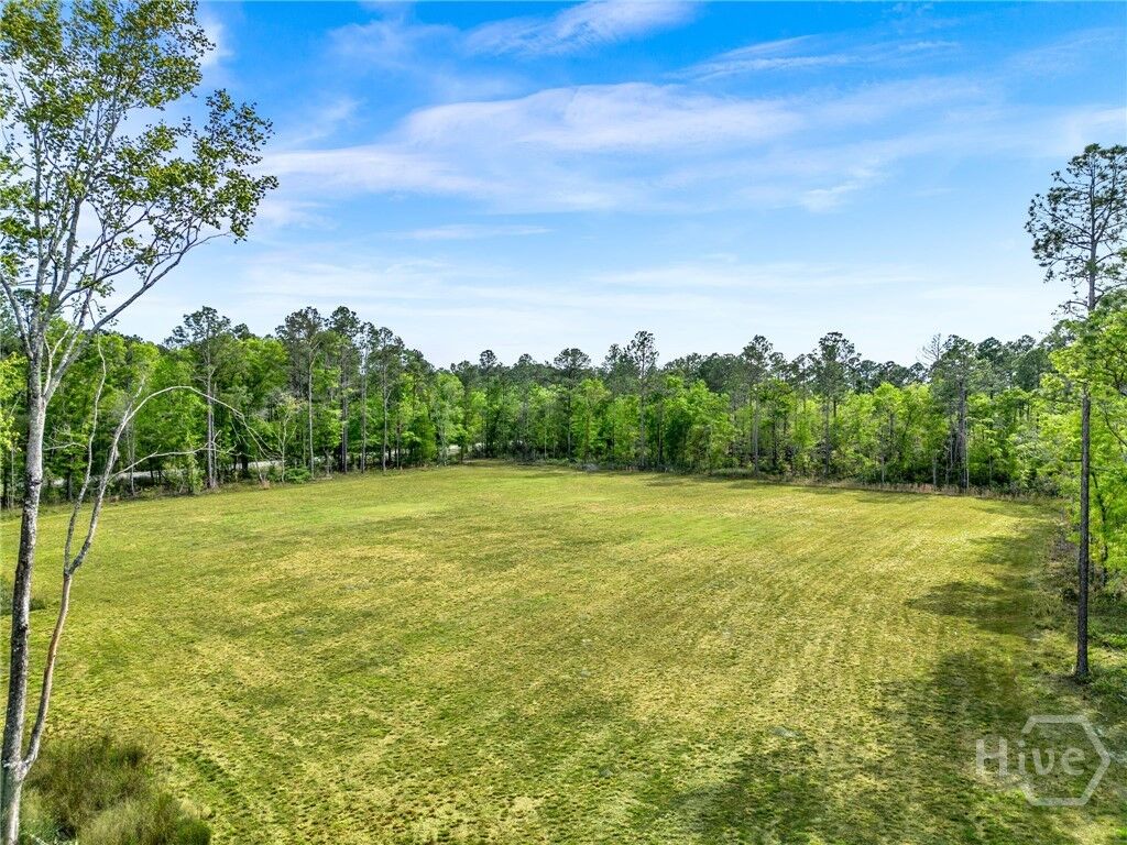 Property Photo:  0 Courthouse Road  GA 31312 