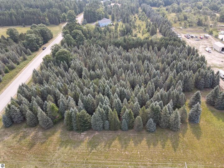 Property Photo: Parcels A &Amp B Danbury Road MI 49649