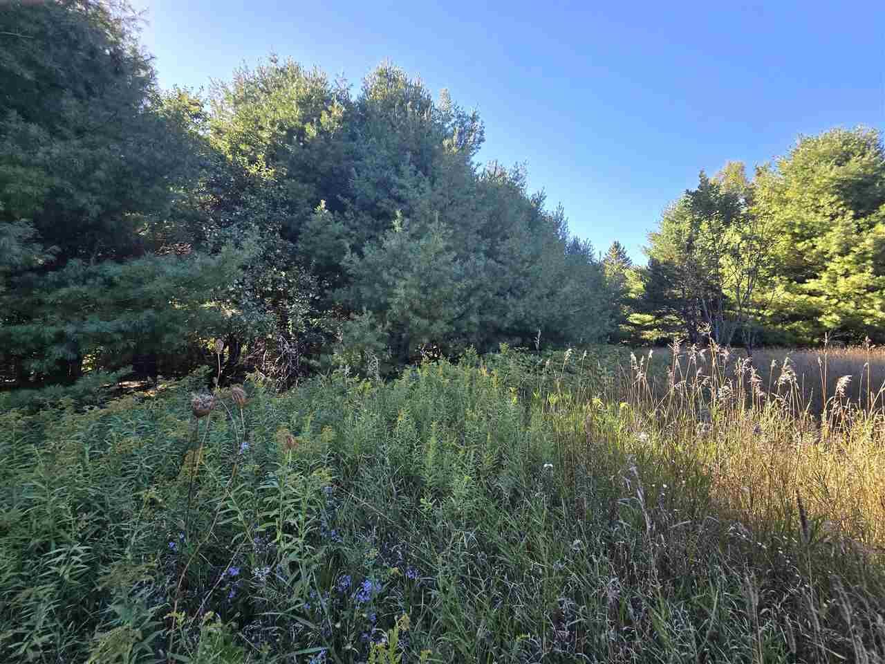 Property Photo: 10534 Sunset MI 49718