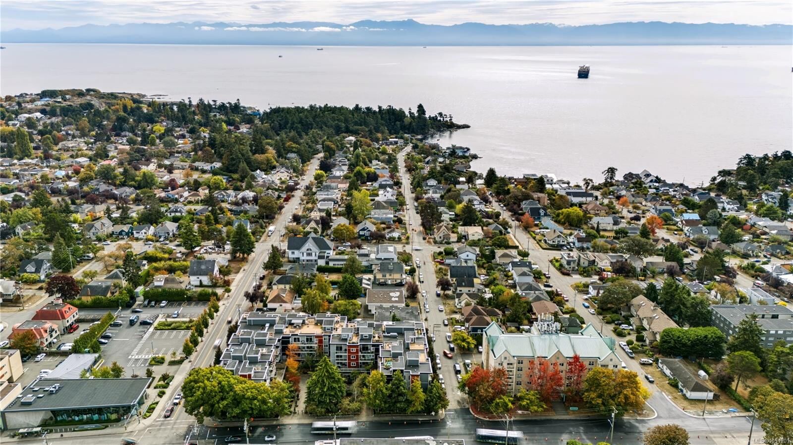 Property Photo:  1315 Esquimalt Rd #314  BC V9A 3P5 