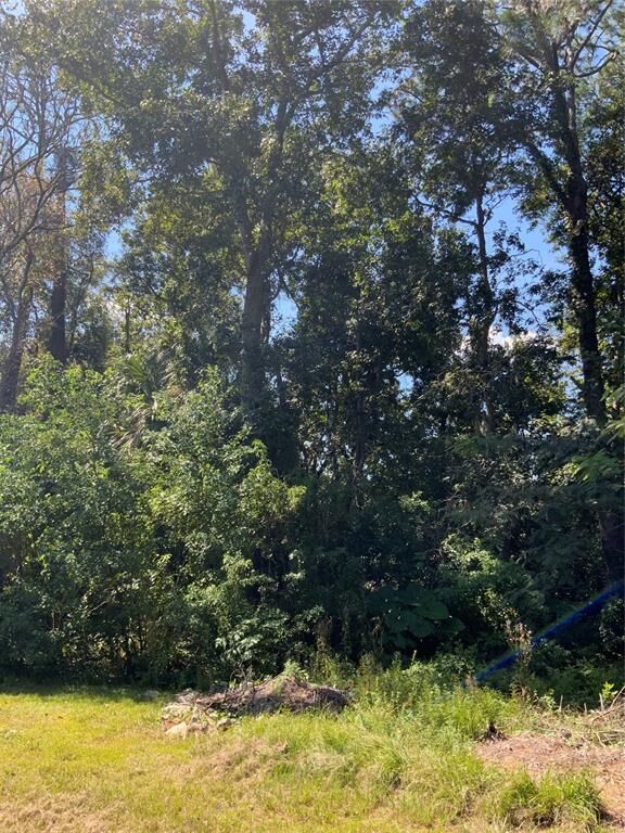 Property Photo:  0 Cashen Drive  FL 32034 