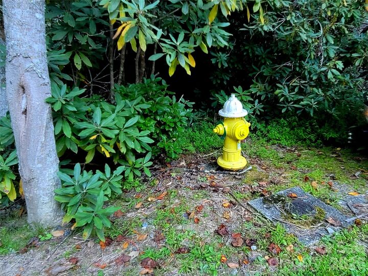 Property Photo: 0 Joyful Lane NC 28791