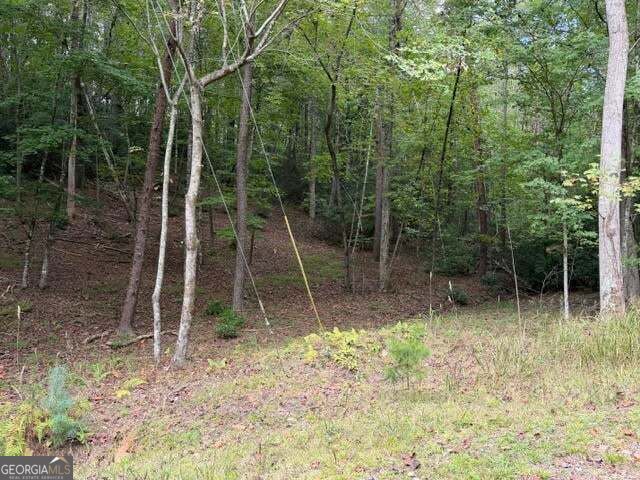 Property Photo:  133 Seneca Drive  GA 30540 
