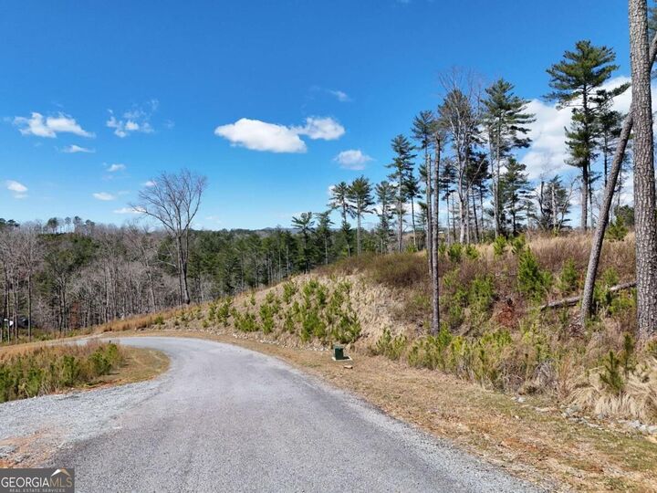 Property Photo:  Lot 253 High River Crossing  GA 30540 