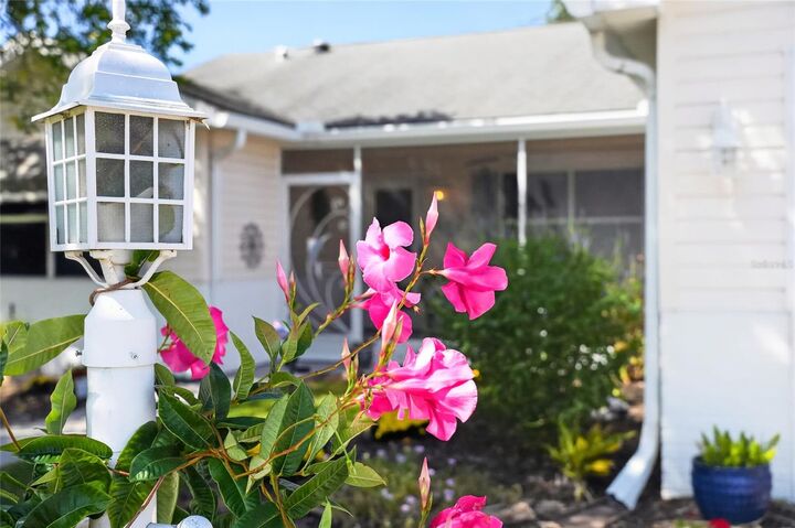 Property Photo:  506 Alcazar Court  FL 32159 